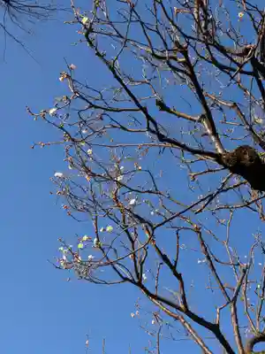 東長谷寺　薬王院(東京都)