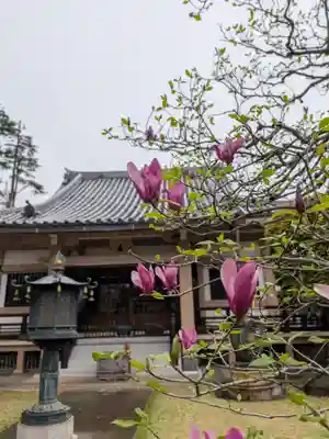 東光寺(東京都)