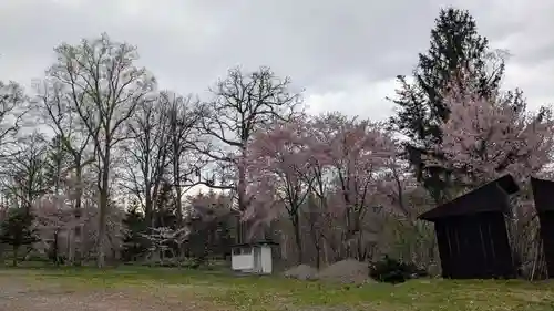 雨紛神社の自然