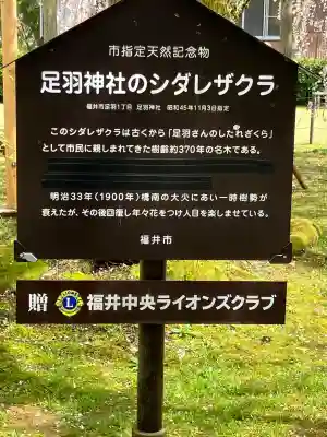 足羽神社の{uncategorized: "未分類", other: "その他", undefined: "問題あり", building: "その他建物", grave: "お墓", sacred_gate: "鳥居", guardian: "狛犬", statue: "像", buddha: "仏像", history: "歴史", nature: "自然", garden: "庭園", animal: "動物", pagoda: "塔", temizu: "手水舎", mountain_gate: "山門・神門", sanctuary: "本殿・本堂", subordinate: "末社・摂社", art: "芸術", scenery: "景色", jizo: "地蔵", ema: "絵馬", goshuin: "御朱印", omikuji: "おみくじ", items: "授与品その他", amulet: "お守り", goshuincho: "御朱印帳", eats: "食事", festival: "お祭り", votive_dance: "神楽", shichigosan: "七五三参", wedding: "結婚式", experience: "体験その他", initially: "初詣", around: "周辺", anti_infection: "感染症対策"}