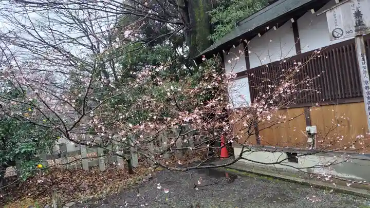 平野神社(京都府)