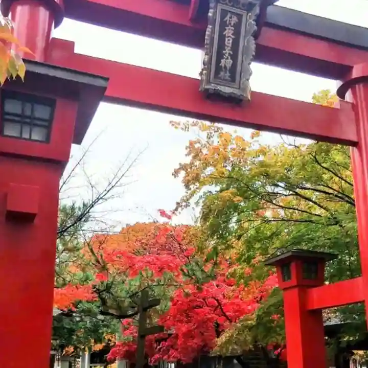 彌彦神社 (伊夜日子神社)の鳥居
