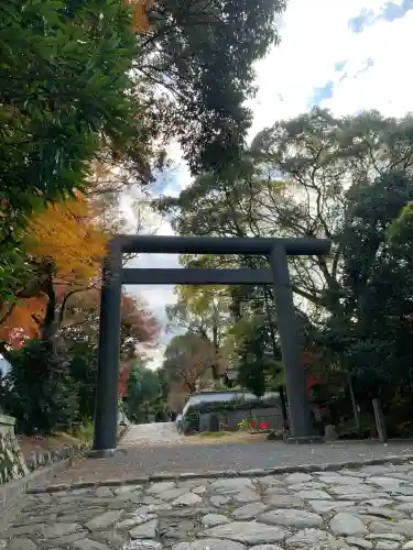 伊曽乃神社(愛媛県)