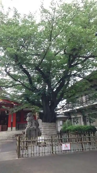 旗岡八幡神社(東京都)