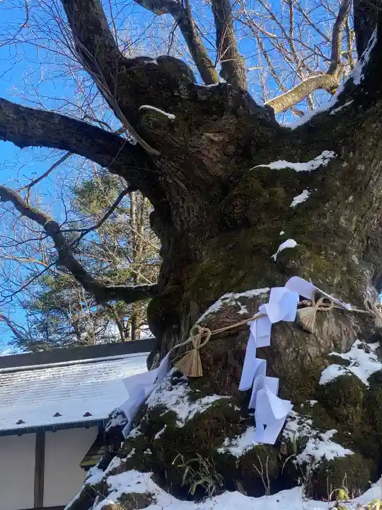 熊野皇大神社の{uncategorized: "未分類", other: "その他", undefined: "問題あり", building: "その他建物", grave: "お墓", sacred_gate: "鳥居", guardian: "狛犬", statue: "像", buddha: "仏像", history: "歴史", nature: "自然", garden: "庭園", animal: "動物", pagoda: "塔", temizu: "手水舎", mountain_gate: "山門・神門", sanctuary: "本殿・本堂", subordinate: "末社・摂社", art: "芸術", scenery: "景色", jizo: "地蔵", ema: "絵馬", goshuin: "御朱印", omikuji: "おみくじ", items: "授与品その他", amulet: "お守り", goshuincho: "御朱印帳", eats: "食事", festival: "お祭り", votive_dance: "神楽", shichigosan: "七五三参", wedding: "結婚式", experience: "体験その他", initially: "初詣", around: "周辺", anti_infection: "感染症対策"}