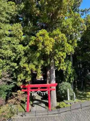 須山浅間神社(静岡県)