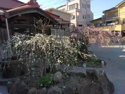 妙法寺（山崎）(神奈川県)