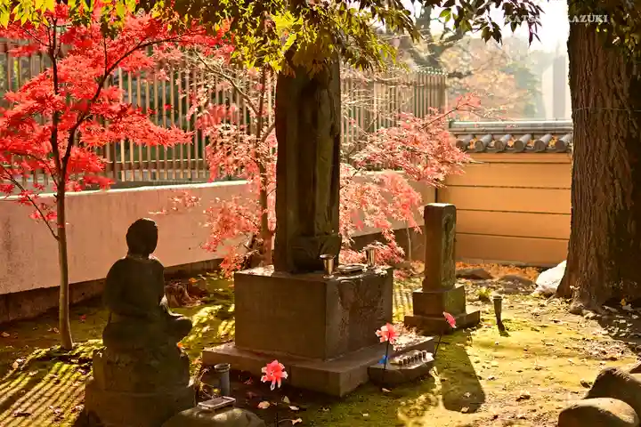 寛永寺(根本中堂)(東京都)