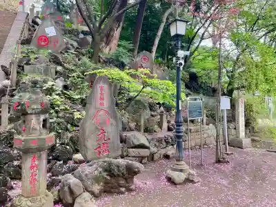 駒込富士神社(東京都)