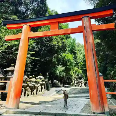 春日大社(奈良県)