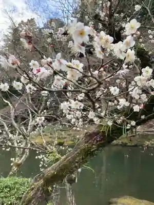 成田山新勝寺(千葉県)