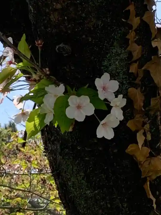 日切地蔵尊の自然