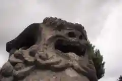 札幌護國神社の狛犬