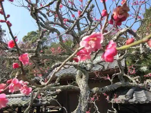 東慶寺の自然