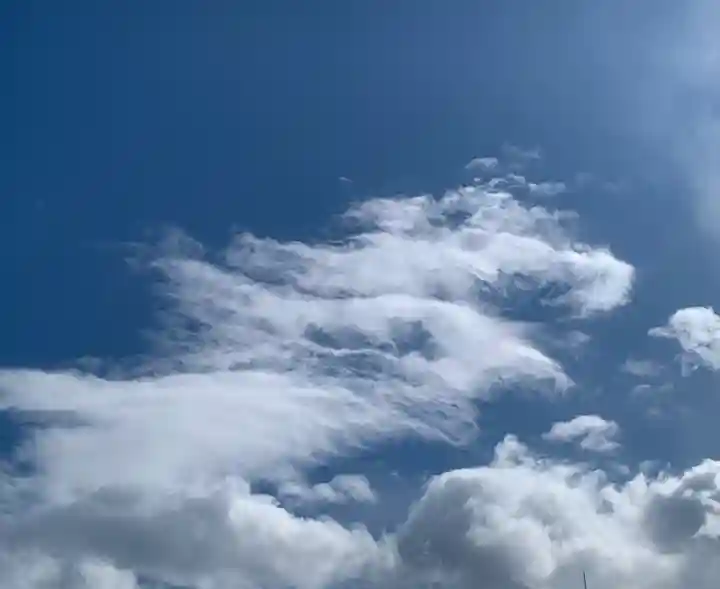 福島稲荷神社(福島県)