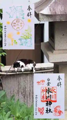 白金氷川神社の御朱印