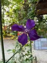 岡部春日神社～👹鬼門よけの🌺花咲く🌺やしろ～(福島県)