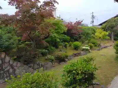 選仏寺(京都府)