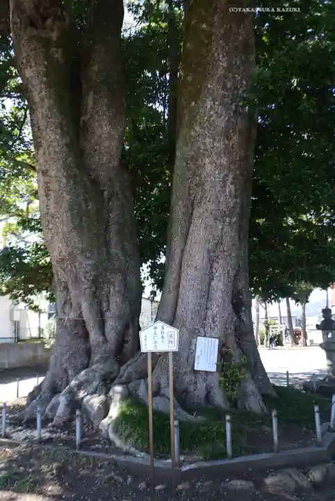 高麗川神社(埼玉県)