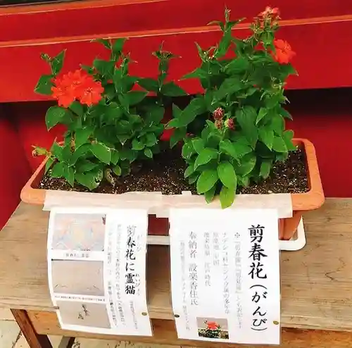 静岡浅間神社の自然