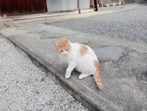 山梨縣護國神社(山梨県)