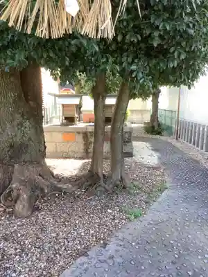 秋葉山尺坊・奥山半僧坊のその他建物