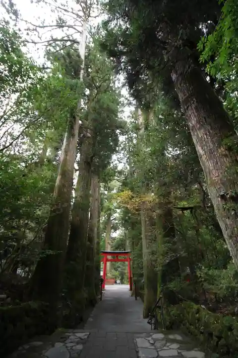 箱根神社(神奈川県)