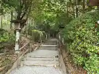狭井坐大神荒魂神社(狭井神社)の{uncategorized: "未分類", other: "その他", undefined: "問題あり", building: "その他建物", grave: "お墓", sacred_gate: "鳥居", guardian: "狛犬", statue: "像", buddha: "仏像", history: "歴史", nature: "自然", garden: "庭園", animal: "動物", pagoda: "塔", temizu: "手水舎", mountain_gate: "山門・神門", sanctuary: "本殿・本堂", subordinate: "末社・摂社", art: "芸術", scenery: "景色", jizo: "地蔵", ema: "絵馬", goshuin: "御朱印", omikuji: "おみくじ", items: "授与品その他", amulet: "お守り", goshuincho: "御朱印帳", eats: "食事", festival: "お祭り", votive_dance: "神楽", shichigosan: "七五三参", wedding: "結婚式", experience: "体験その他", initially: "初詣", around: "周辺", anti_infection: "感染症対策"}
