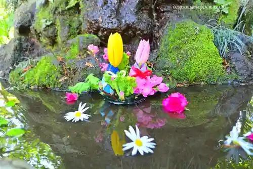 武蔵一宮氷川神社(埼玉県)