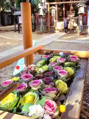 上目黒氷川神社(東京都)
