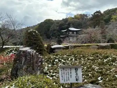 勧修寺の{uncategorized: "未分類", other: "その他", undefined: "問題あり", building: "その他建物", grave: "お墓", sacred_gate: "鳥居", guardian: "狛犬", statue: "像", buddha: "仏像", history: "歴史", nature: "自然", garden: "庭園", animal: "動物", pagoda: "塔", temizu: "手水舎", mountain_gate: "山門・神門", sanctuary: "本殿・本堂", subordinate: "末社・摂社", art: "芸術", scenery: "景色", jizo: "地蔵", ema: "絵馬", goshuin: "御朱印", omikuji: "おみくじ", items: "授与品その他", amulet: "お守り", goshuincho: "御朱印帳", eats: "食事", festival: "お祭り", votive_dance: "神楽", shichigosan: "七五三参", wedding: "結婚式", experience: "体験その他", initially: "初詣", around: "周辺", anti_infection: "感染症対策"}