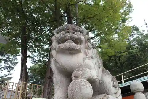 安積國造神社の狛犬