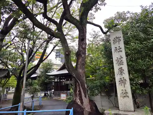 荏原神社のその他建物