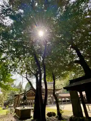 油日神社(滋賀県)