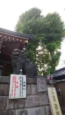 諏訪神社の狛犬