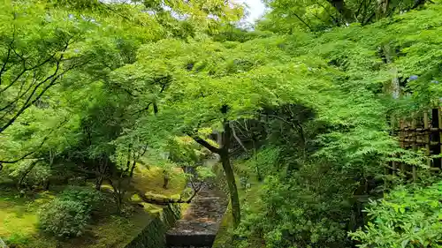 東福禅寺（東福寺）の庭園