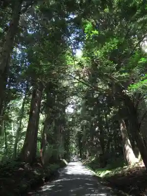 戸隠神社奥社(長野県)