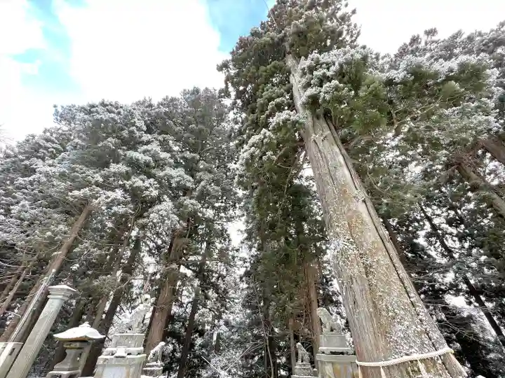 戸隠神社中社(長野県)