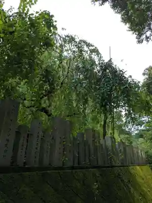 大縣神社(愛知県)