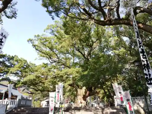 大麻比古神社の建物その他