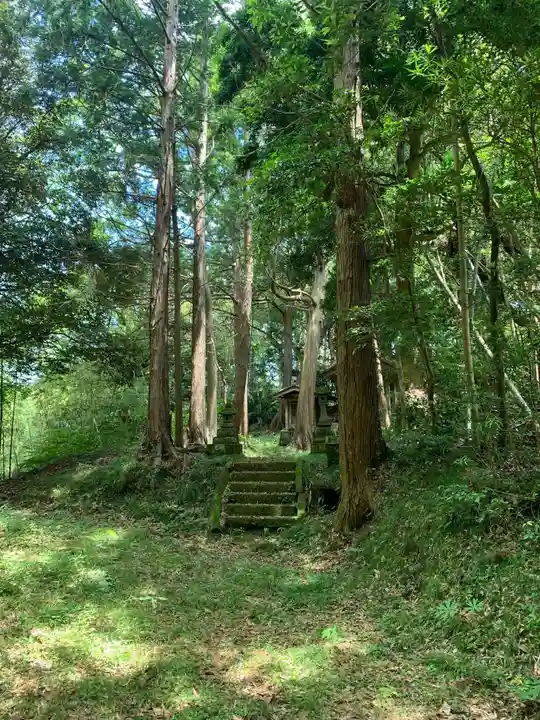 日枝神社の自然