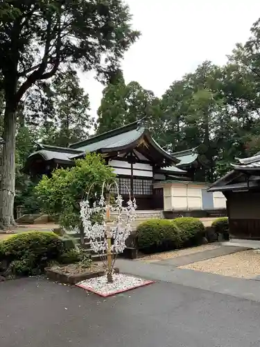 諏訪神社のおみくじ