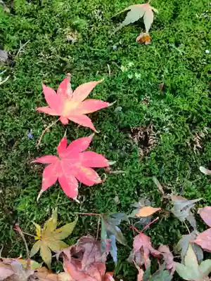 新大佛寺(三重県)
