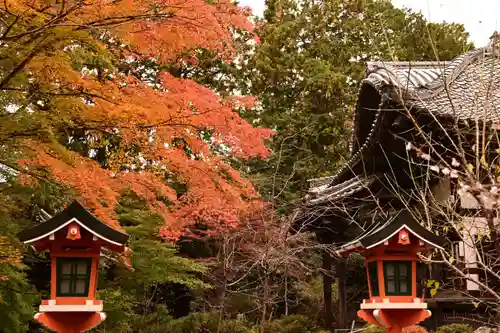 十輪寺(京都府)