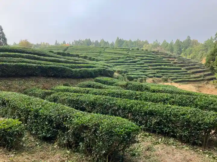 鶏足寺(滋賀県)
