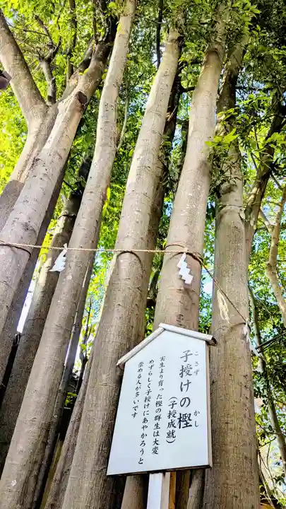 検見川神社の自然