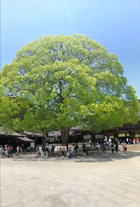 明治神宮(東京都)