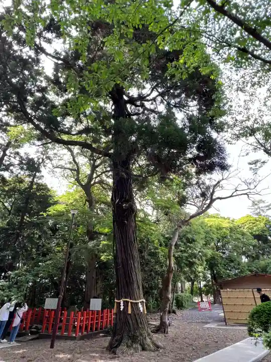 息栖神社(茨城県)