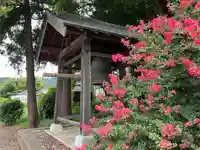 金剛寺観音堂(宮城県)