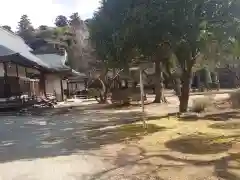 雲照寺の建物その他